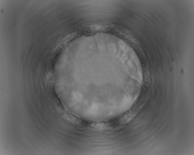 X0000078230419200612011544