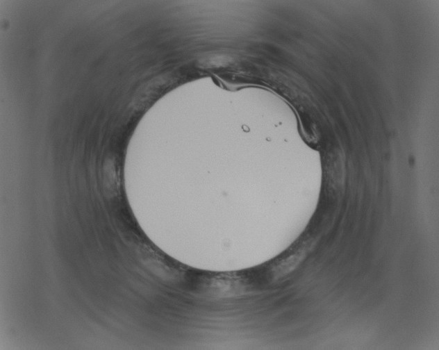 X0000078230420200612011544