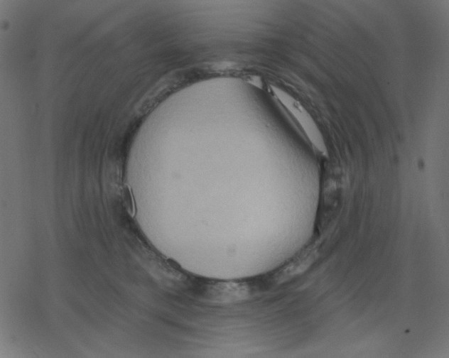 X0000078230421200612011544