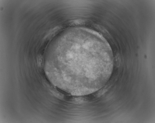 X0000078230423200612011544