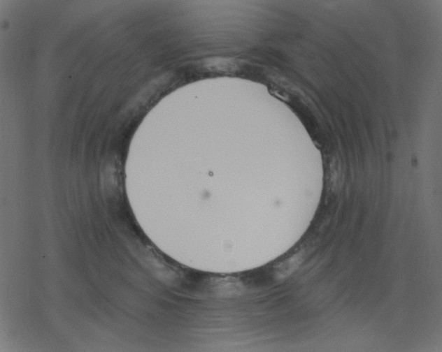 X0000078230424200612011544