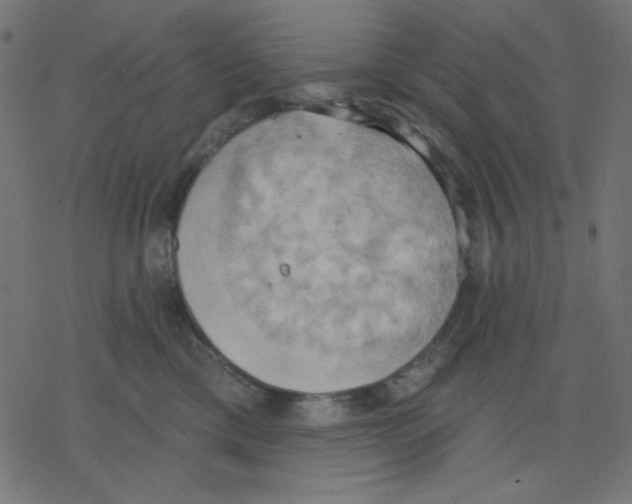 X0000078230425200612011544