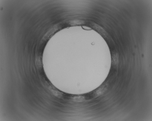 X0000078230426200612011544