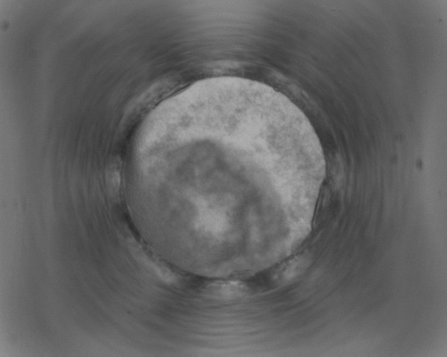 X0000078230427200612011544