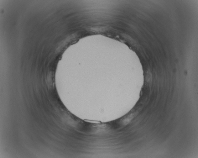 X0000078230428200612011544