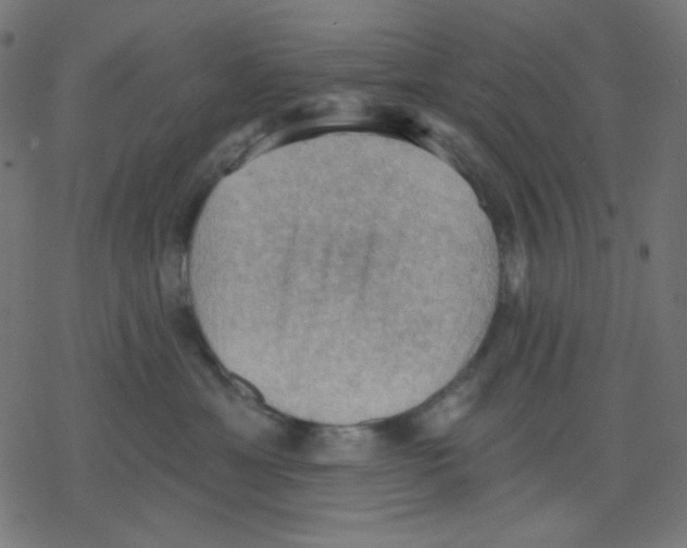 X0000078230429200612011544