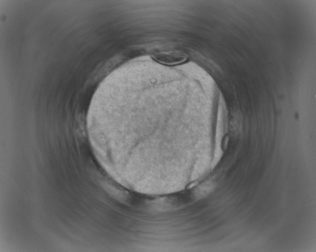 X0000078230430200612011544