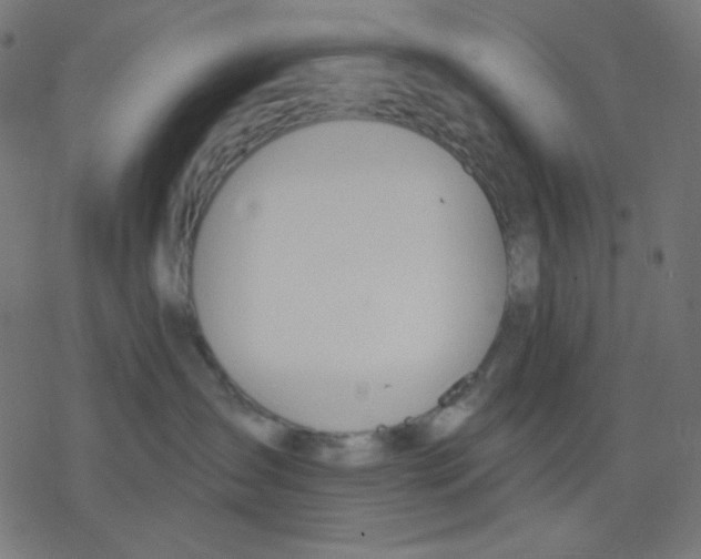 X0000078230431200612011544