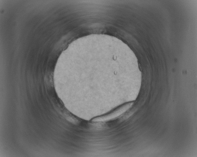 X0000078230432200612011544