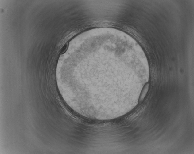 X0000078230433200612011543