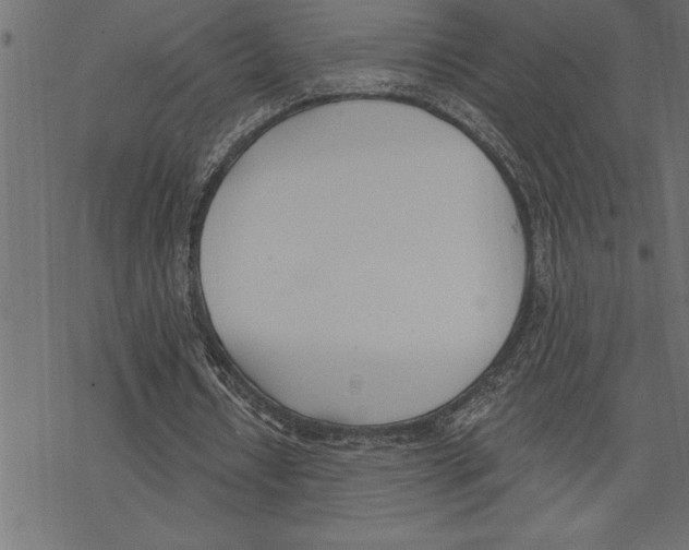 X0000078230434200612011543