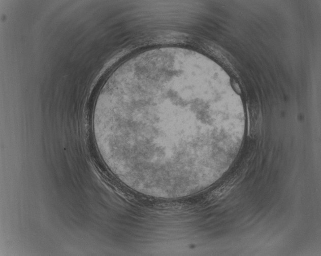 X0000078230435200612011543