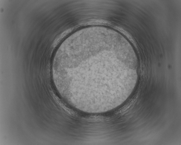 X0000078230437200612011543