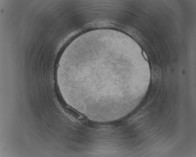 X0000078230438200612011544