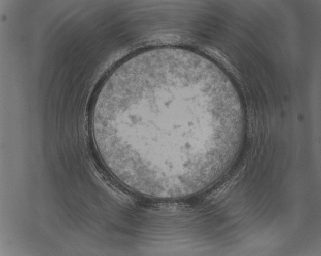 X0000078230439200612011544