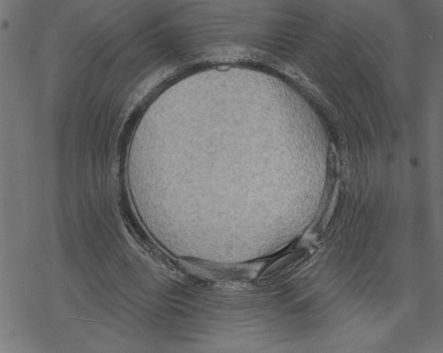 X0000078230440200612011544