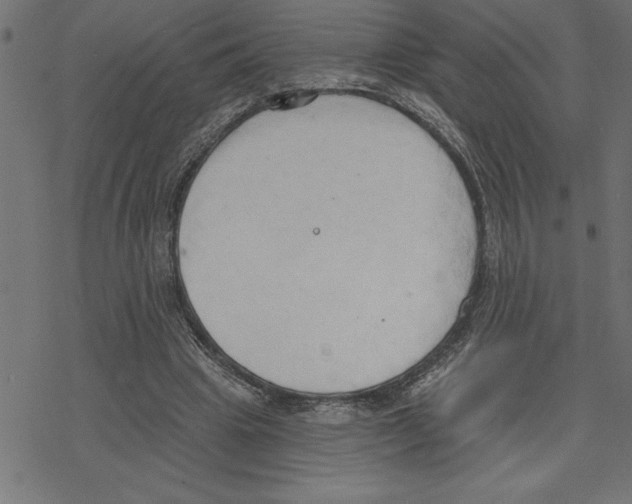 X0000078230441200612011544