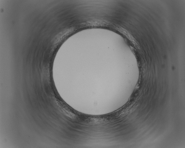 X0000078230442200612011544