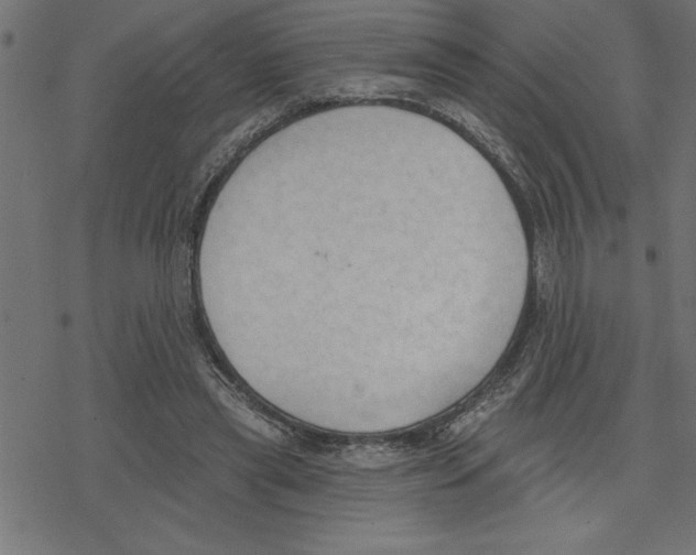 X0000078230445200612011544