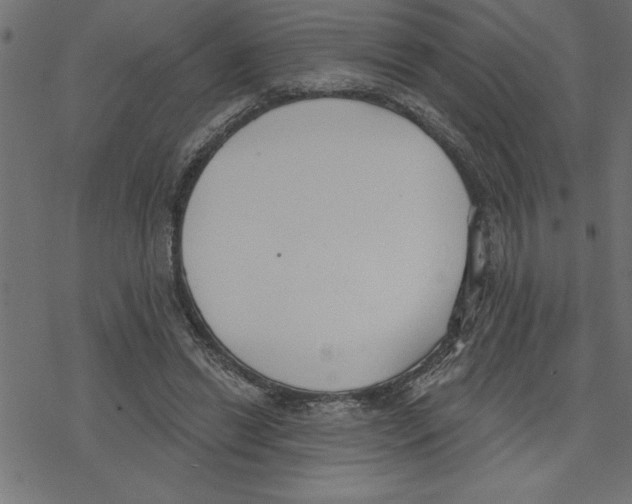 X0000078230446200612011544