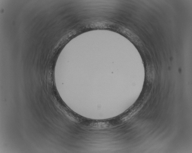 X0000078230449200612011544