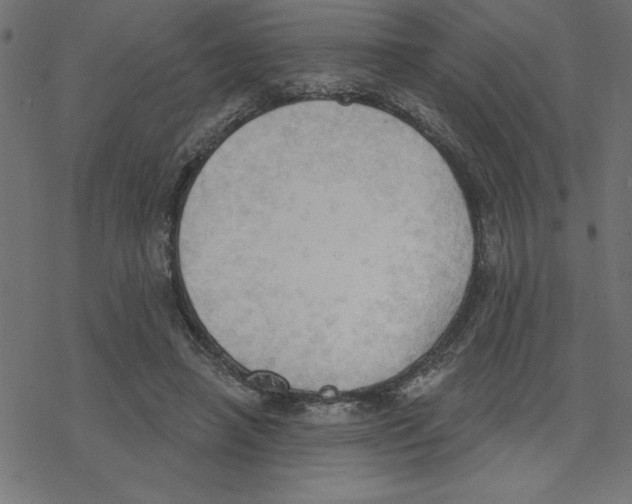 X0000078230450200612011544