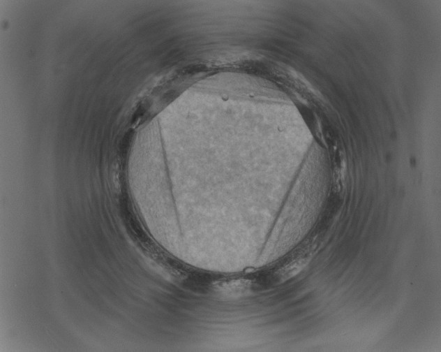 X0000078230452200612011544