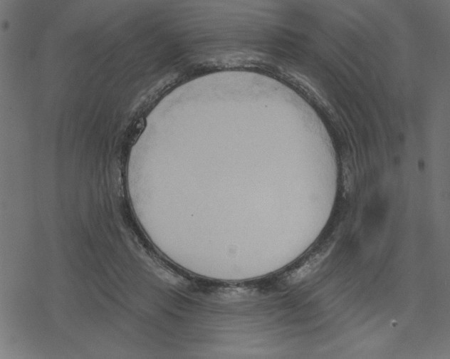 X0000078230453200612011544