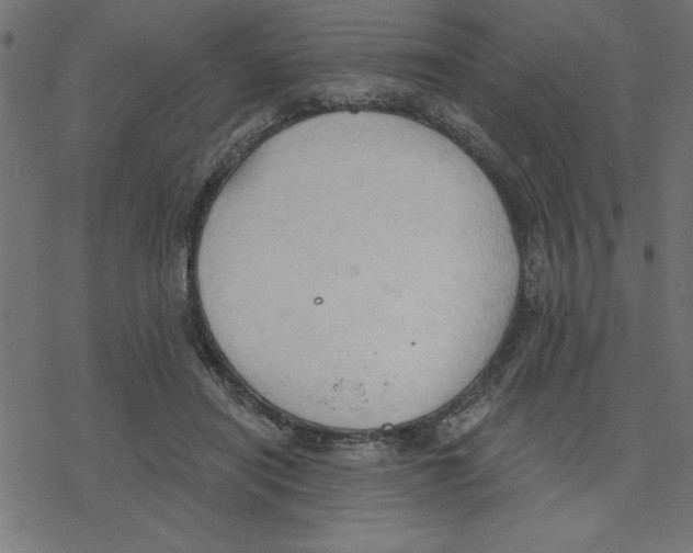 X0000078230454200612011544