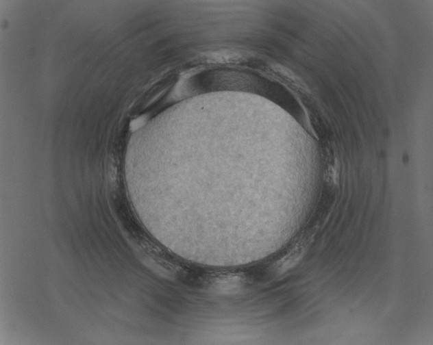 X0000078230456200612011544