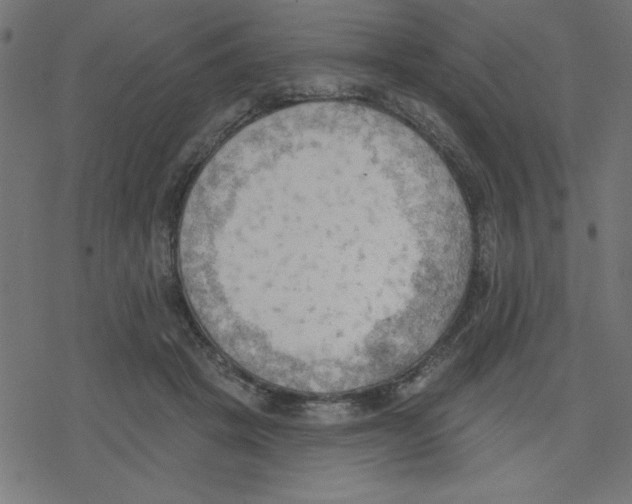 X0000078230457200612011544