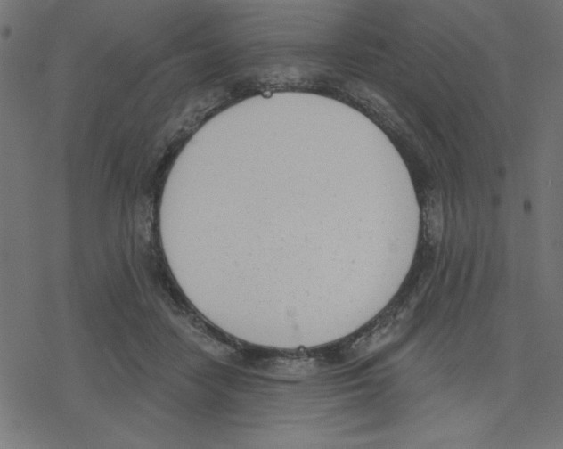 X0000078230458200612011544