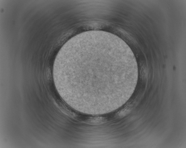 X0000078230459200612011544