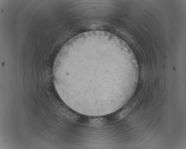 X0000078230461200612011544