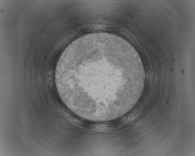 X0000078230462200612011544