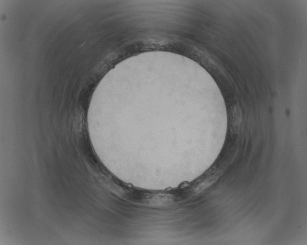 X0000078230463200612011544