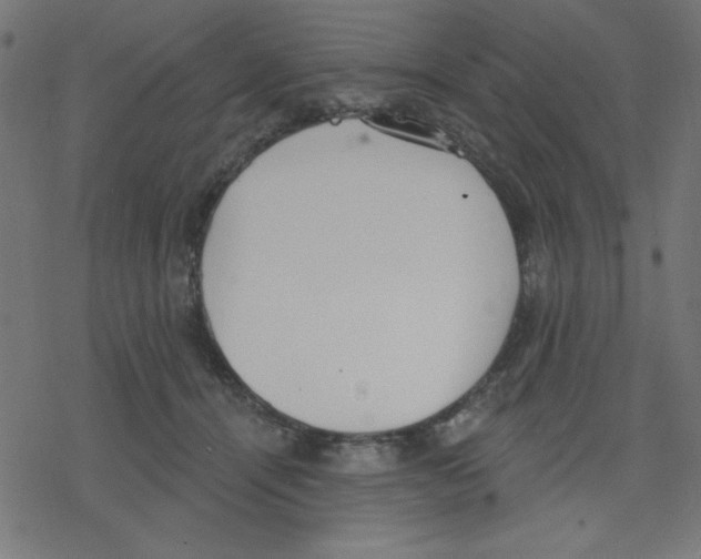 X0000078230464200612011544