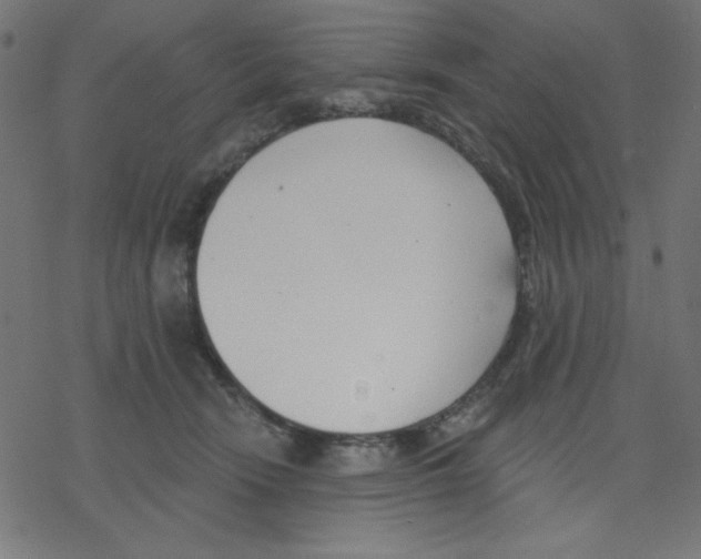 X0000078230466200612011544