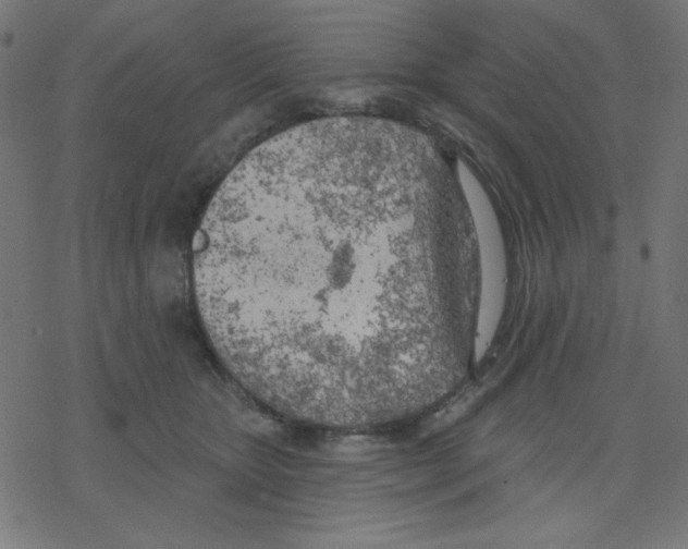 X0000078230467200612011544