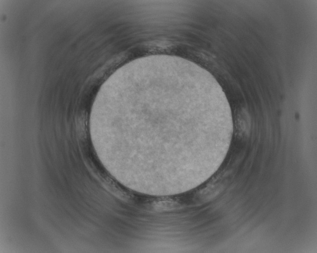 X0000078230468200612011544