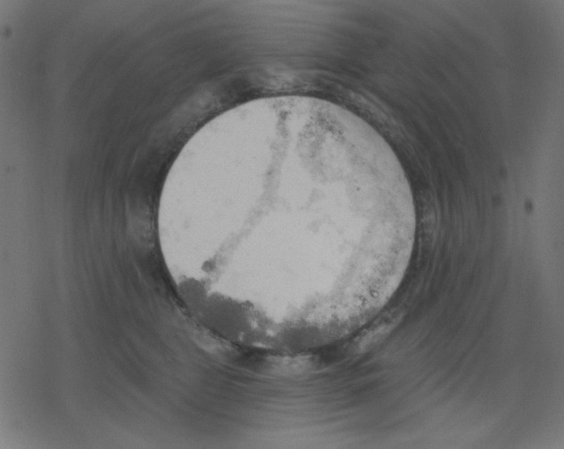 X0000078230469200612011544