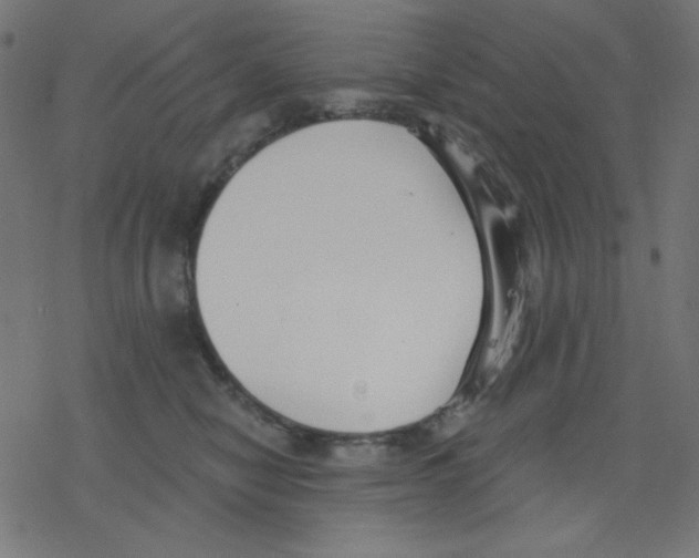 X0000078230470200612011544