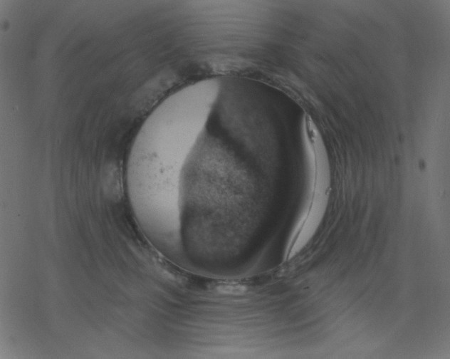 X0000078230471200612011544