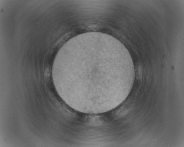 X0000078230472200612011544