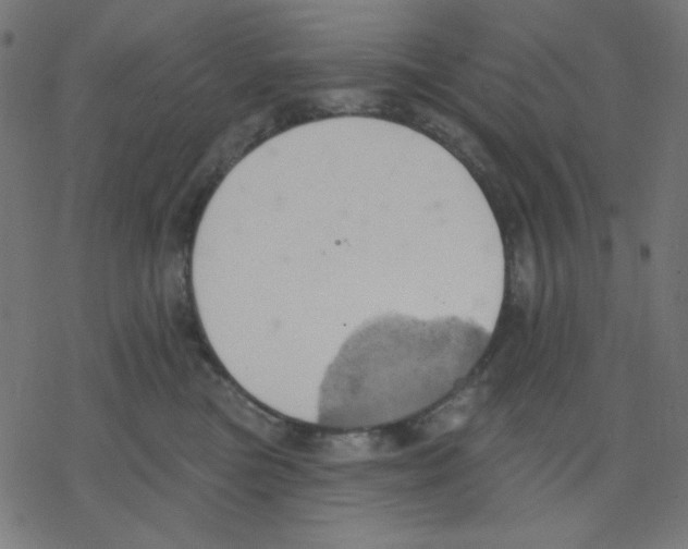 X0000078230473200612011544