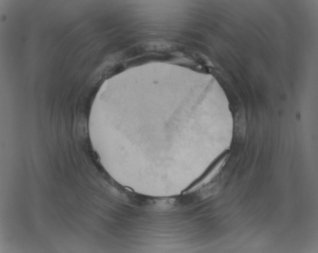 X0000078230474200612011544