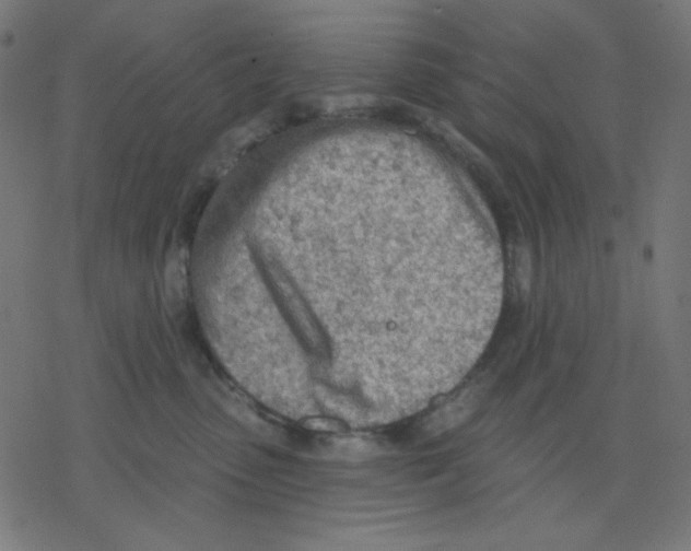 X0000078230475200612011544