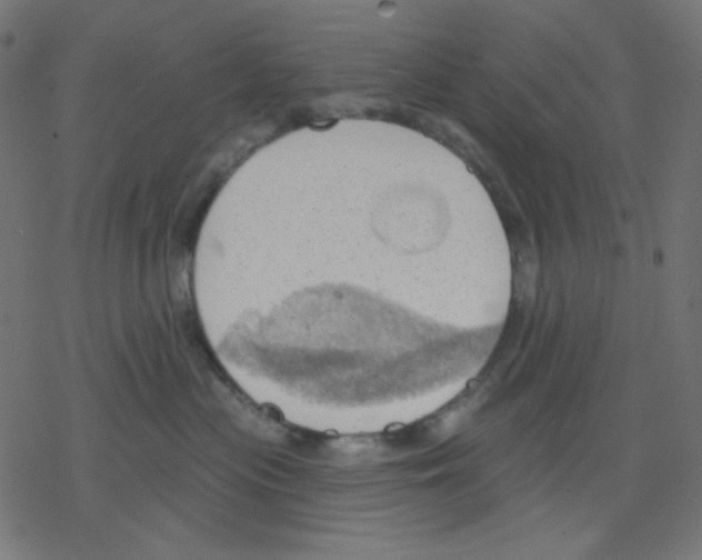 X0000078230477200612011544