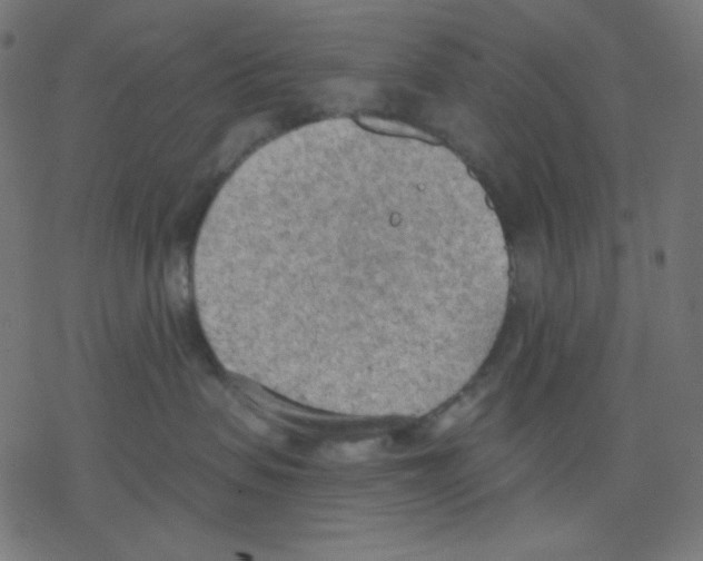 X0000078230479200612011544