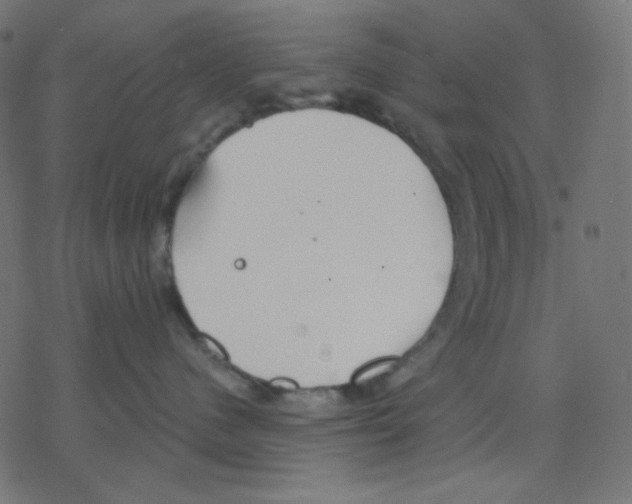 X0000078230480200612011544